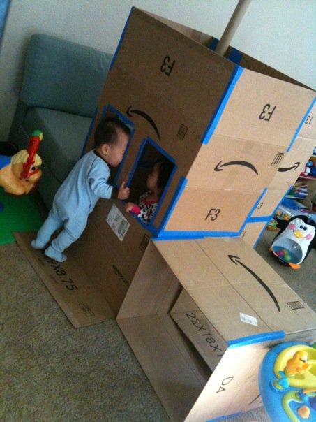 Amazon Fort